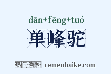 单峰驼是什么意思的图片